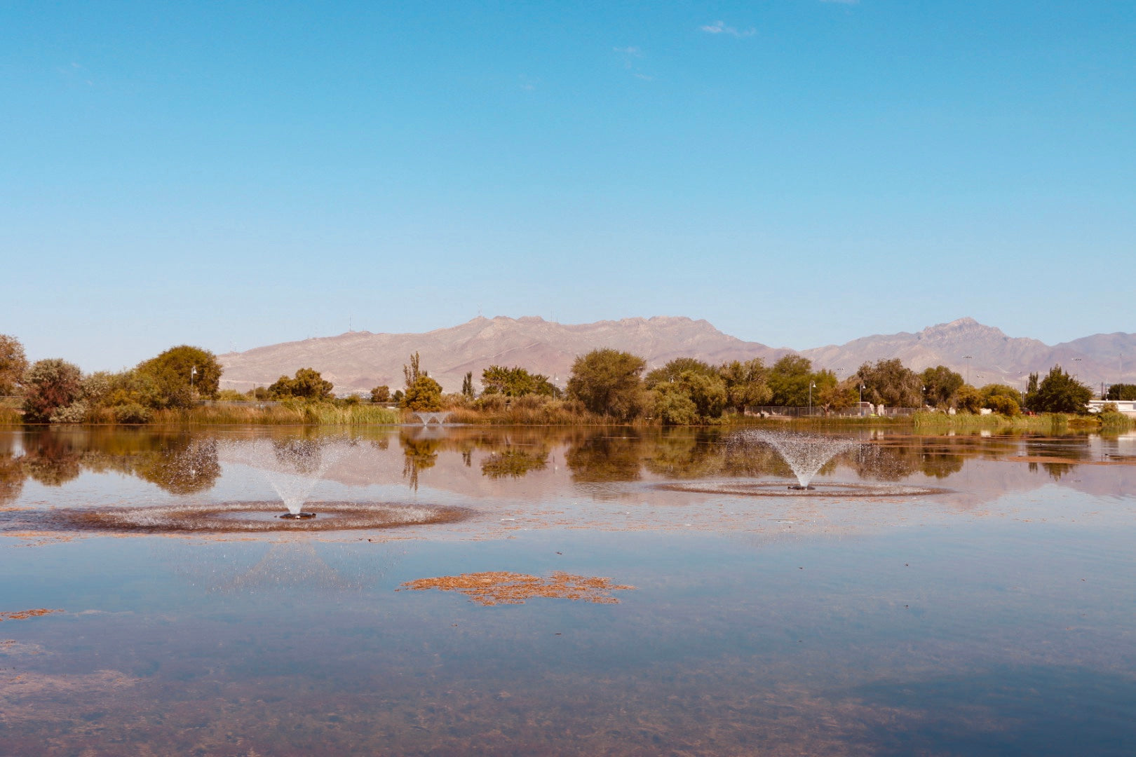 5 El Paso Picnic Spots Upper Valley Artist & Farmers Market