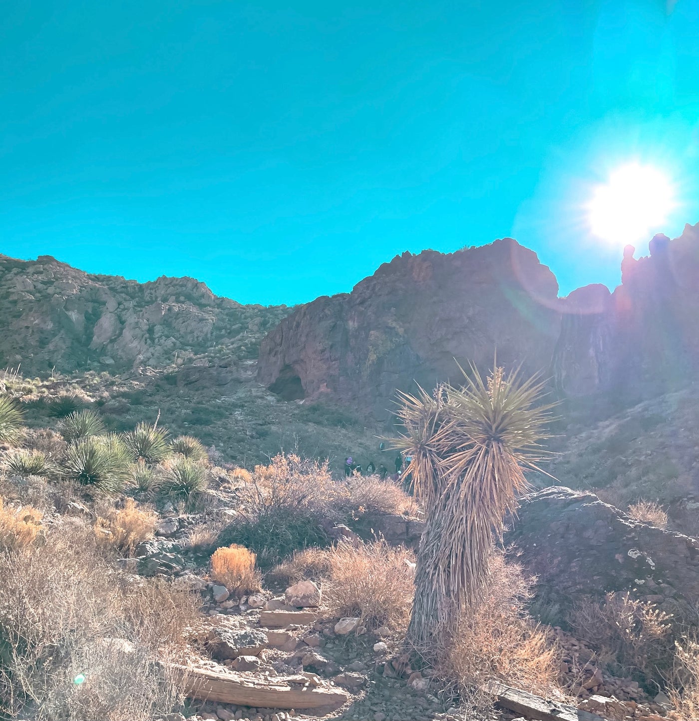 5 El Paso Must-Do Hiking Trails
